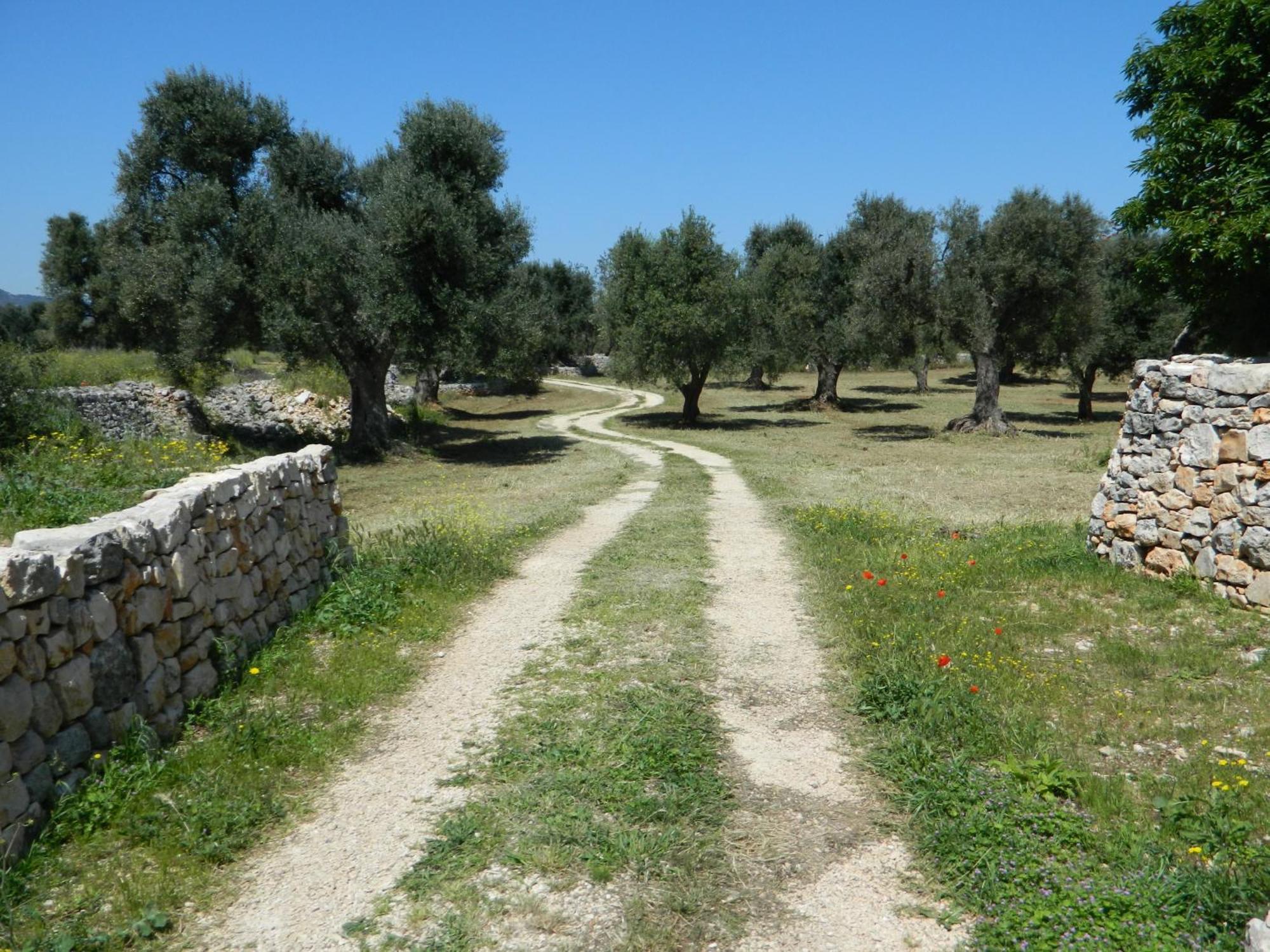 Masseria Purgatorio Fasano Exterior foto